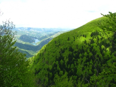 Foreste Casentinesi