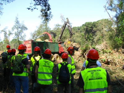 Esercitazioni Utilizzazioni forestali