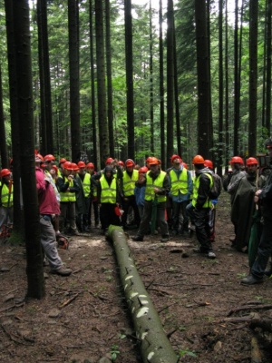 Esercitazioni Utilizzazioni forestali